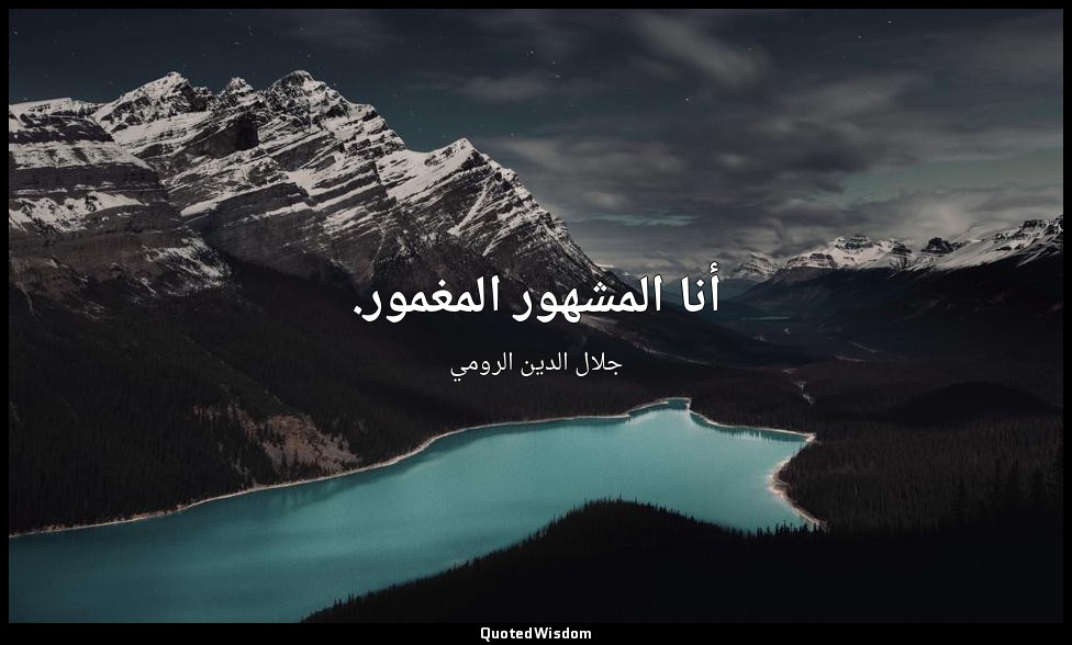 أنا المشهور المغمور. — جلال الدين الرومي