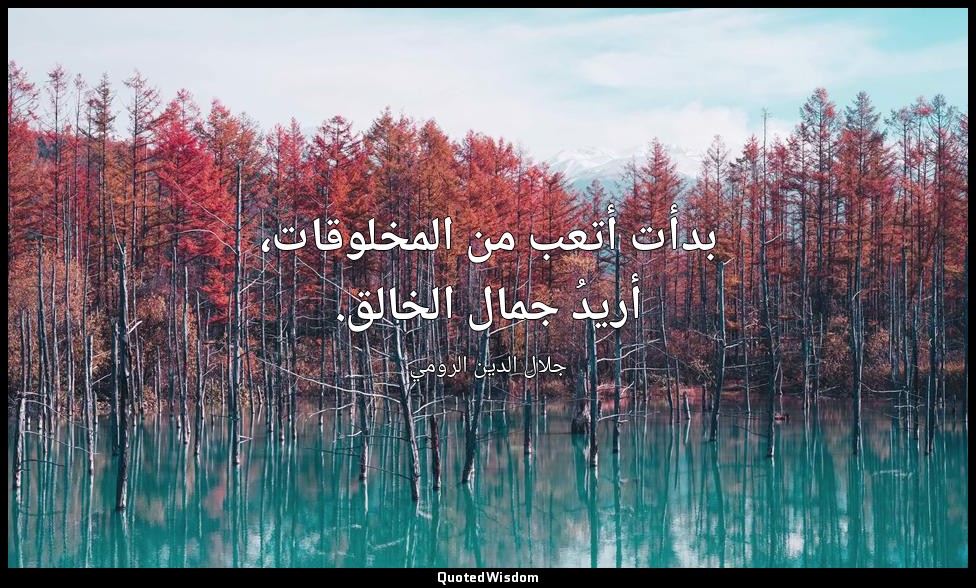 بدأت أتعب من المخلوقات، أريدُ جمال الخالق. — جلال الدين الرومي