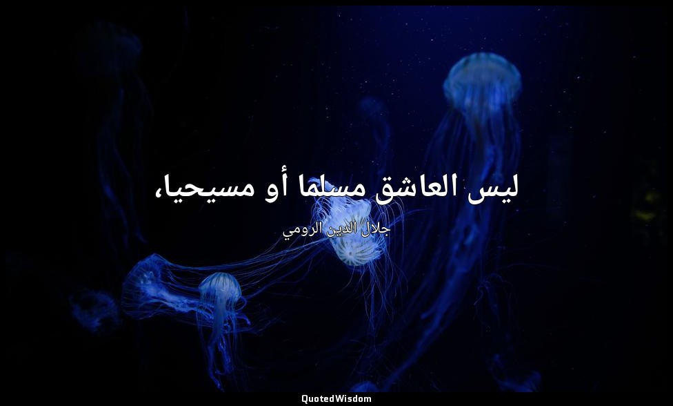 ليس العاشق مسلما أو مسيحيا، — جلال الدين الرومي