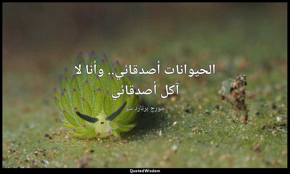 الحيوانات أصدقائي.. وأنا لا آكل أصدقائي — جورج برنارد شو
