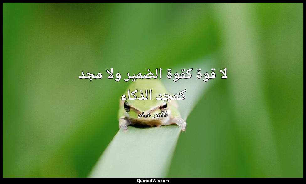 لا قوة كقوة الضمير ولا مجد كمجد الذكاء — فكتور هيغو