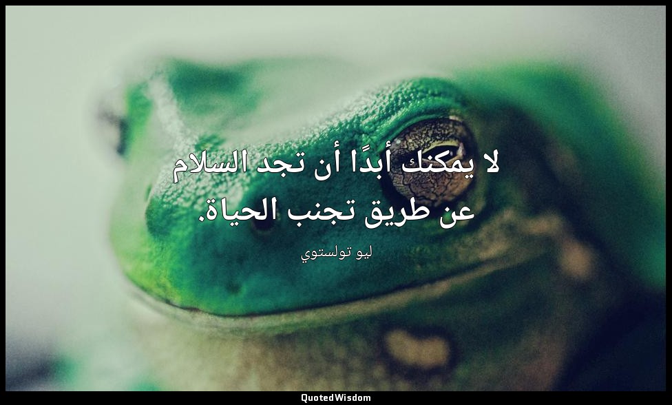 لا يمكنك أبدًا أن تجد السلام عن طريق تجنب الحياة. — ليو تولستوي