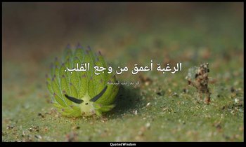 الرغبة أعمق من وجع القلب. — فريدريك نيتشه