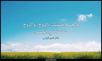 فالجسم مشتبك بالروح، والروح متغلغلة في الجسم.. — جلال الدين الرومي