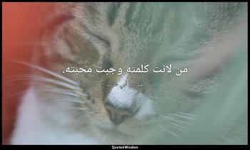 من لانت كلمته وجبت محبته. — علي بن أبي طالب