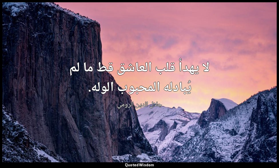 لا يهدأ قلب العاشق قط ما لم يُبادله المحبوب الوله. — جلال الدين الرومي