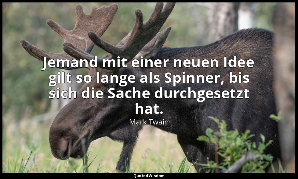 "Jemand mit einer neuen Idee gilt so lange als Spinner, bis sich die Sache durch — Mark Twain