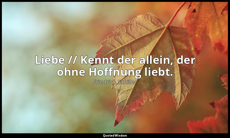 " Liebe // Kennt der allein, der ohne Hoffnung liebt." - Dom Karlos II, 8 / Karl — Friedrich Schiller