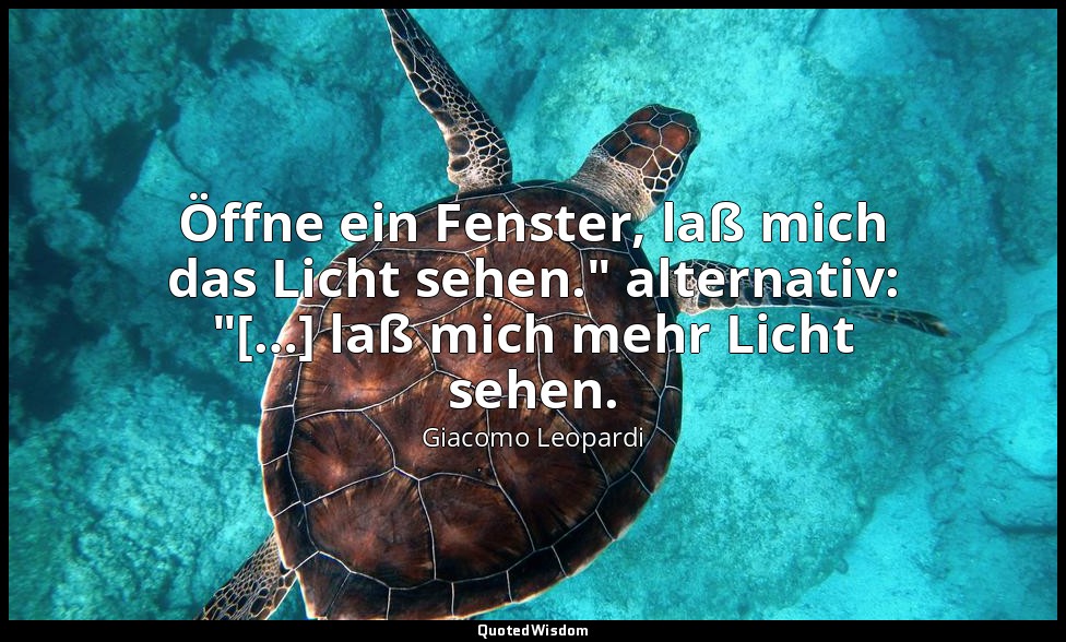Öffne ein Fenster, laß mich das Licht sehen." alternativ: "[…] laß mich mehr Lic — Giacomo Leopardi