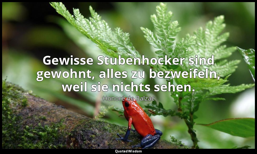 Gewisse Stubenhocker sind gewohnt, alles zu bezweifeln, weil sie nichts sehen. — Honoré de Balzac