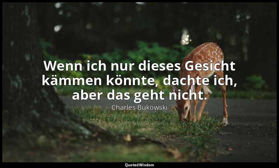 Wenn ich nur dieses Gesicht kämmen könnte, dachte ich, aber das geht nicht. — Charles Bukowski