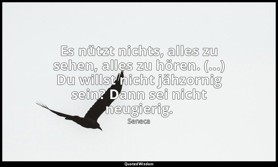 "Es nützt nichts, alles zu sehen, alles zu hören. (...) Du willst nicht jähzorni — Seneca