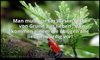 "Man muß nur Ein Wesen recht von Grund aus lieben , da kommen einem die übrigen  — Johann Wolfgang von Goethe