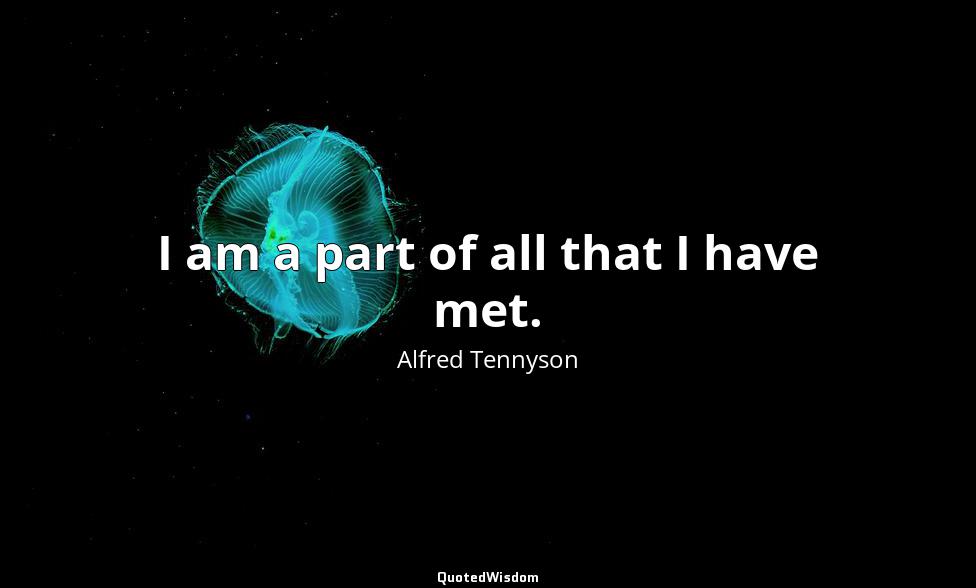 I am a part of all that I have met. Alfred Tennyson