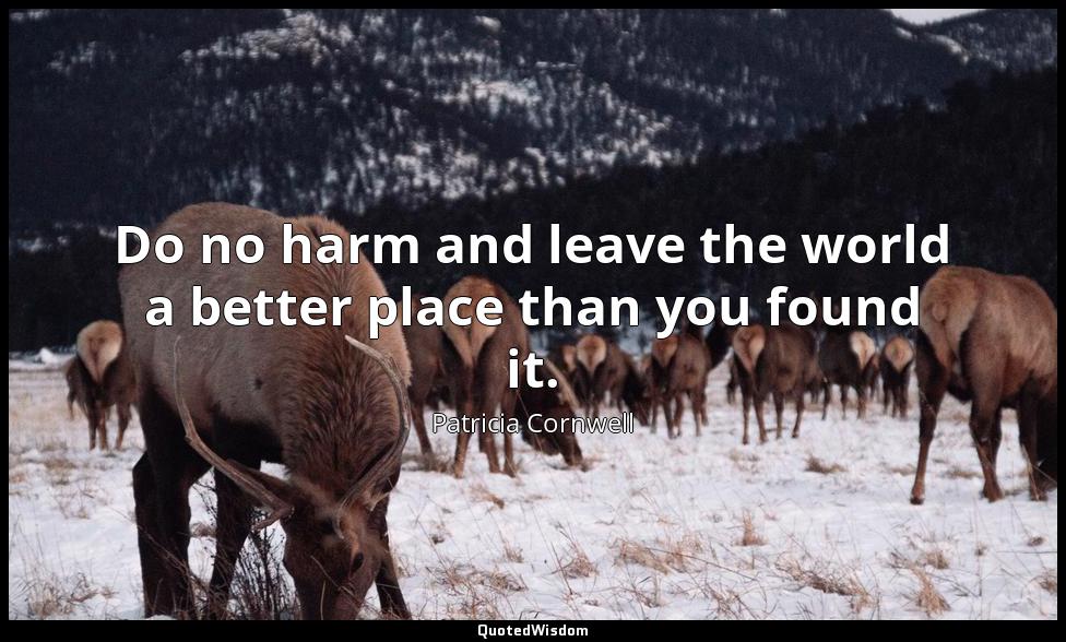 Do no harm and leave the world a better place than you found it. Patricia Cornwell