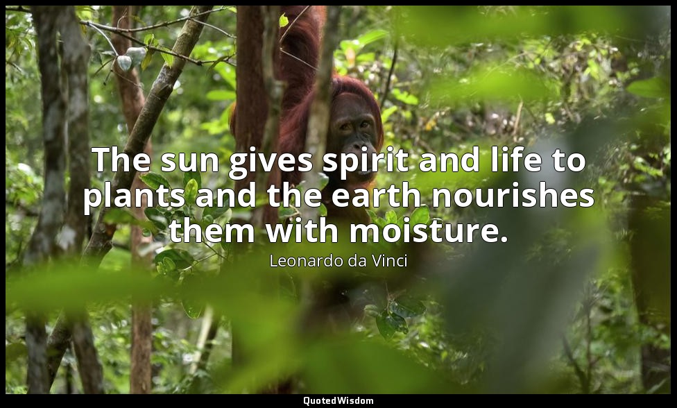 The sun gives spirit and life to plants and the earth nourishes them with moistu — Leonardo da Vinci