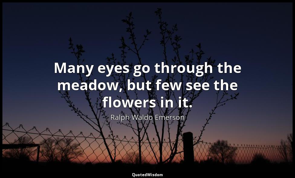 Many eyes go through the meadow, but few see the flowers in it. Ralph Waldo Emerson
