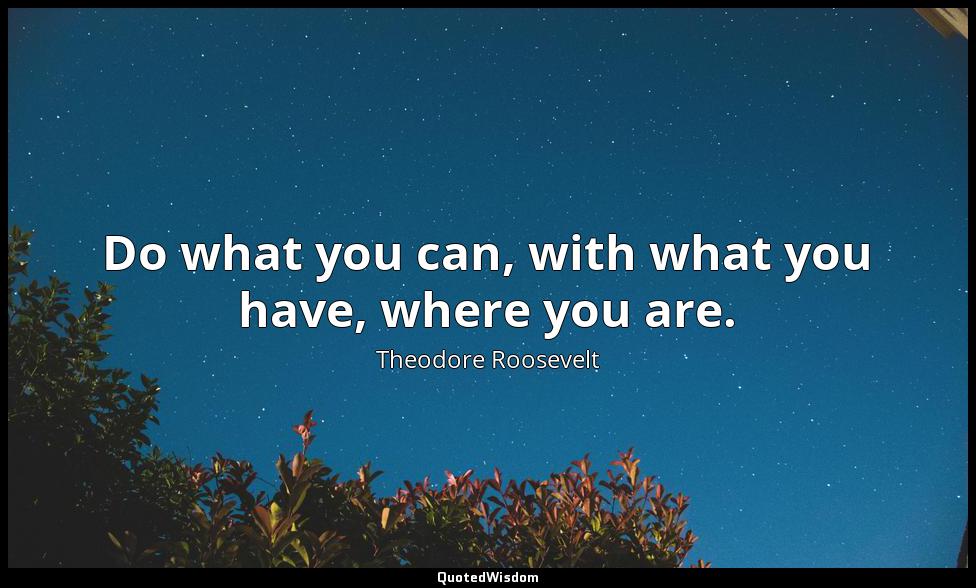 Do what you can, with what you have, where you are. Theodore Roosevelt