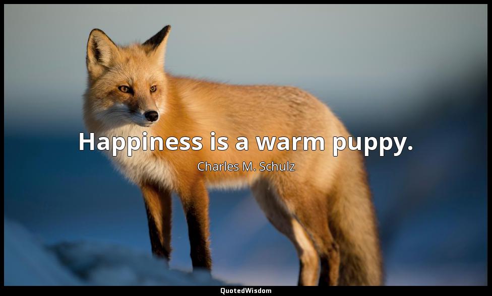 Happiness is a warm puppy. Charles M. Schulz