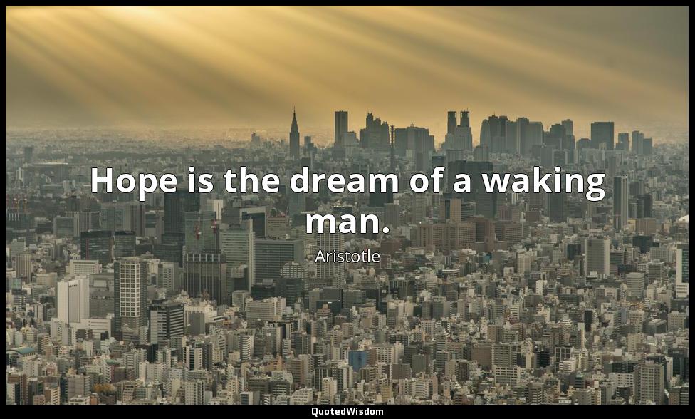 Hope is the dream of a waking man. Aristotle