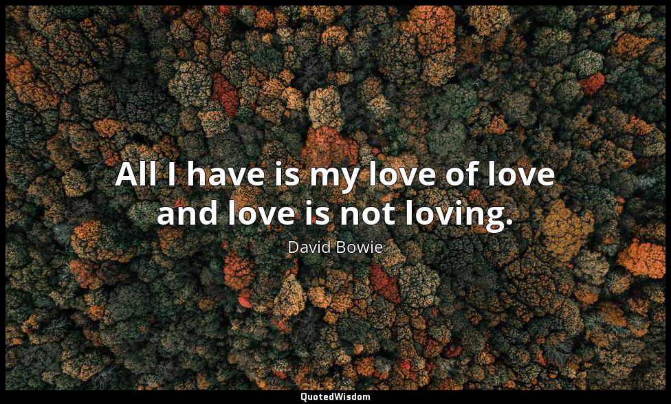 All I have is my love of love and love is not loving. David Bowie