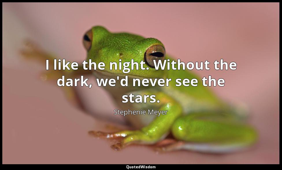 I like the night. Without the dark, we'd never see the stars. Stephenie Meyer