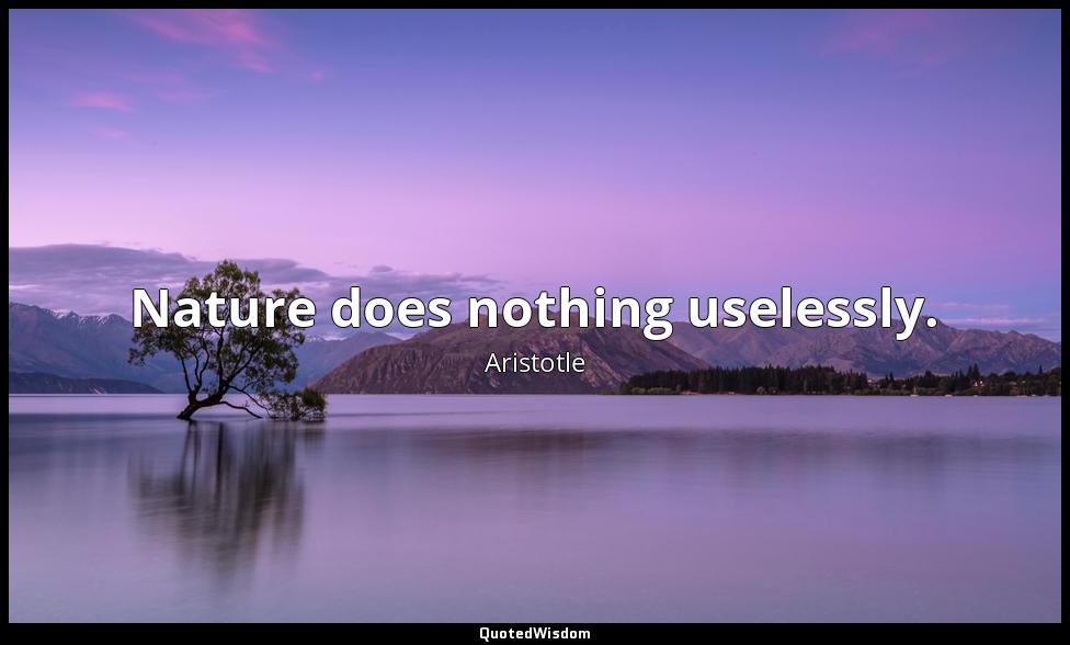 Nature does nothing uselessly. Aristotle