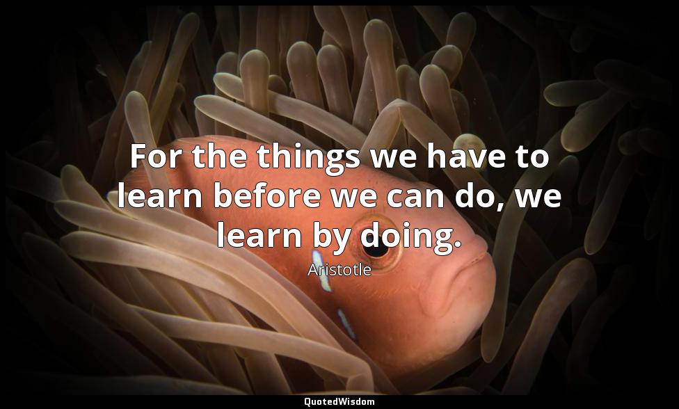 For the things we have to learn before we can do, we learn by doing. Aristotle
