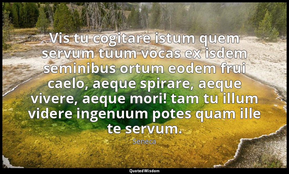 Vis tu cogitare istum quem servum tuum vocas ex isdem seminibus ortum eodem frui — Seneca