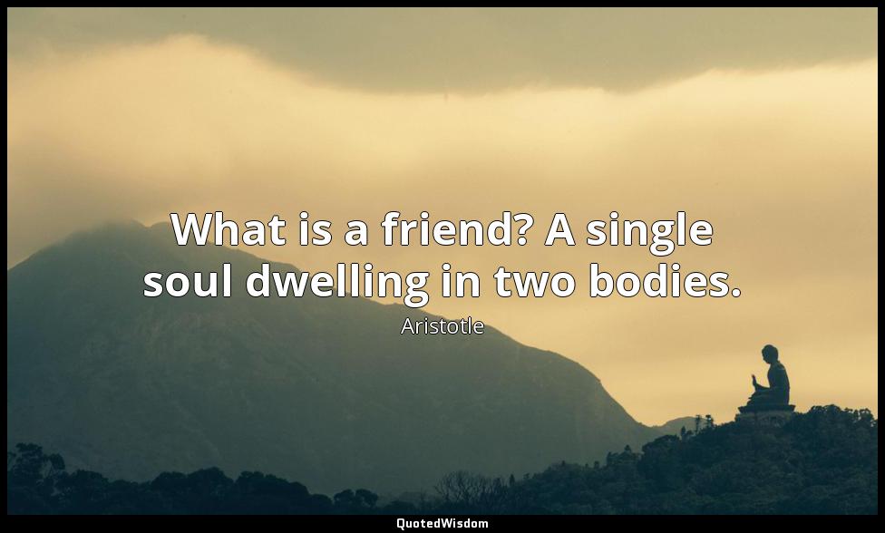 What is a friend? A single soul dwelling in two bodies. Aristotle