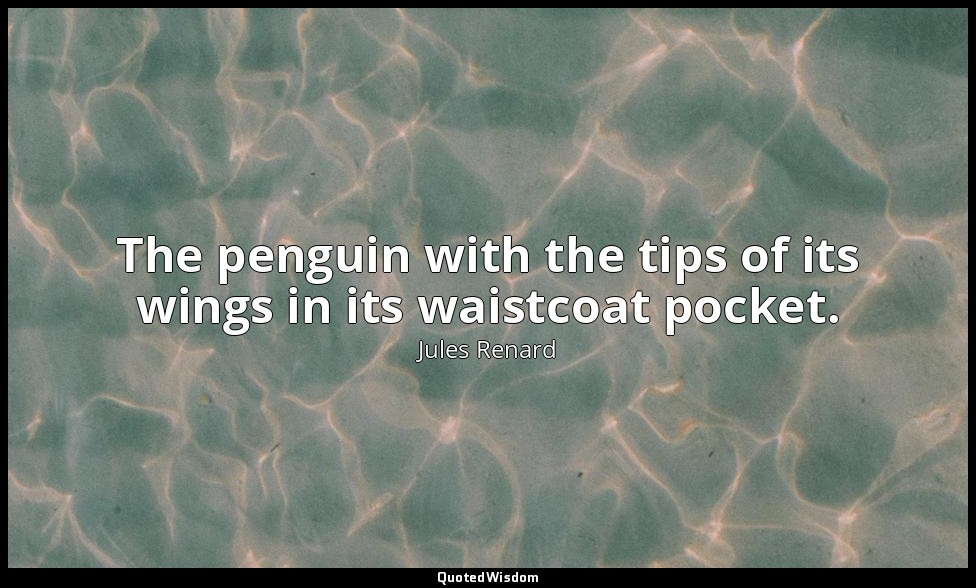 The penguin with the tips of its wings in its waistcoat pocket. — Jules Renard