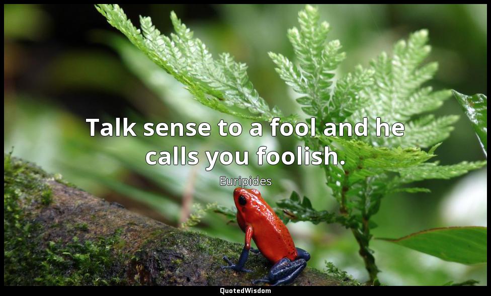 Talk sense to a fool and he calls you foolish. Euripides