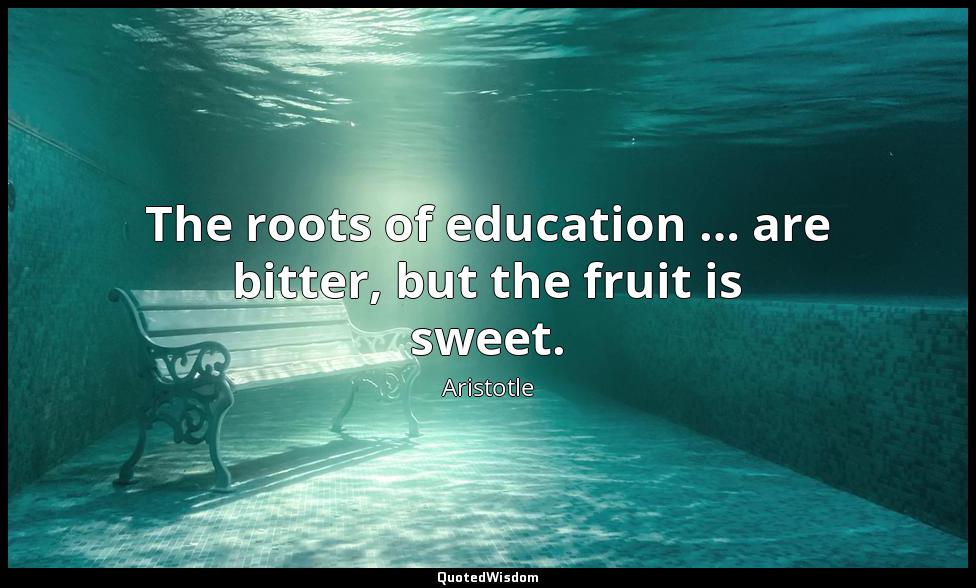 The roots of education … are bitter, but the fruit is sweet. Aristotle