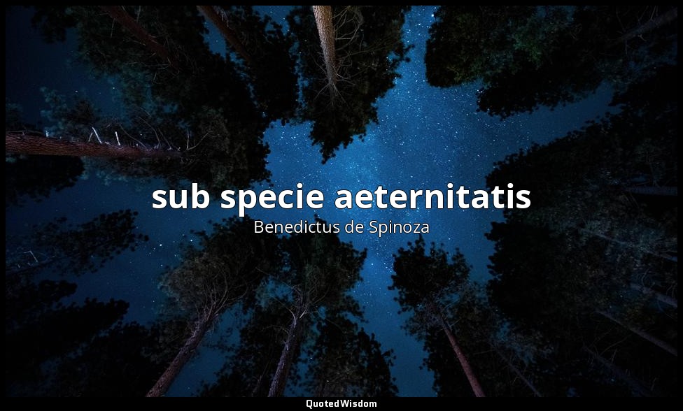 sub specie aeternitatis — Benedictus de Spinoza