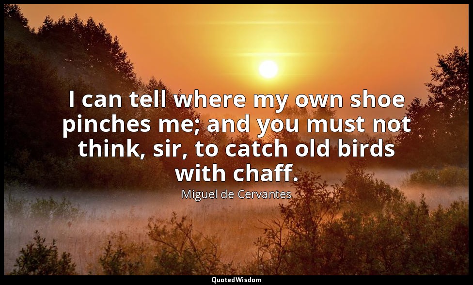 I can tell where my own shoe pinches me; and you must not think, sir, to catch o — Miguel de Cervantes