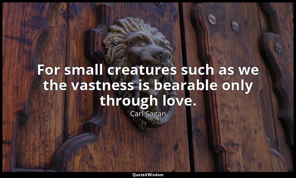 For small creatures such as we the vastness is bearable only through love. — Carl Sagan