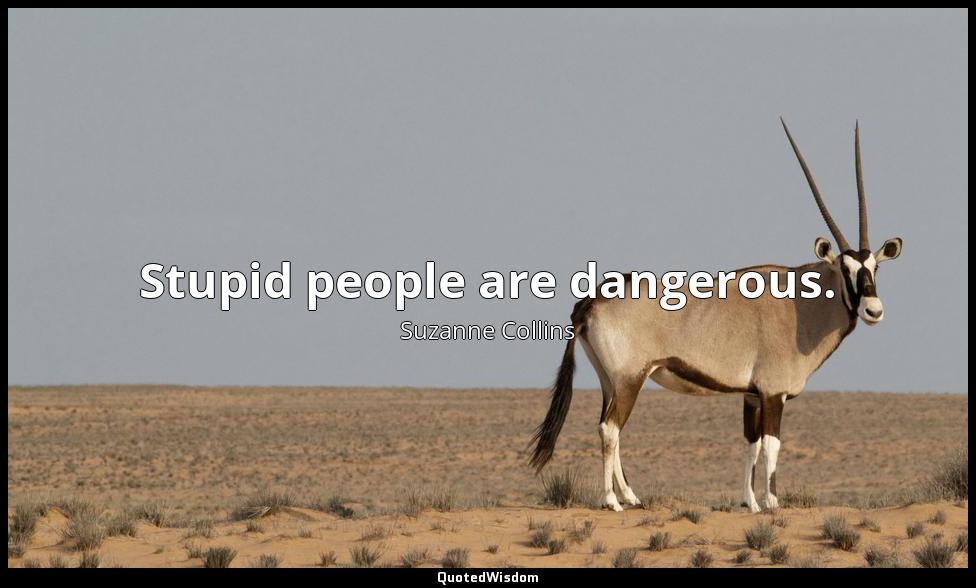 Stupid people are dangerous. Suzanne Collins