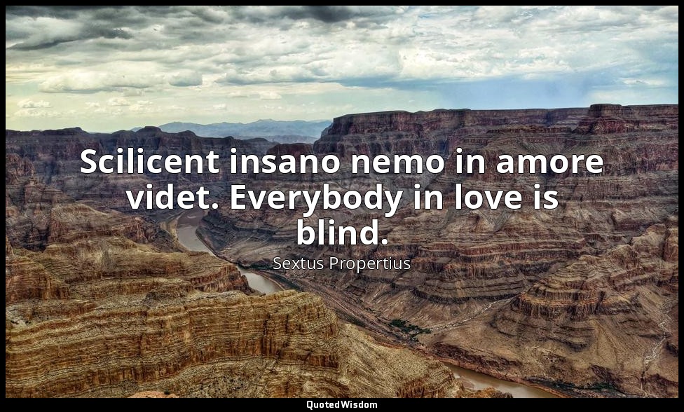 Scilicent insano nemo in amore videt. Everybody in love is blind. — Sextus Propertius