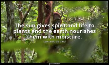 The sun gives spirit and life to plants and the earth nourishes them with moistu — Leonardo da Vinci