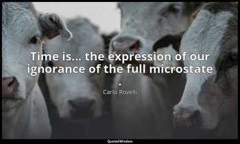 Time is... the expression of our ignorance of the full microstate . — Carlo Rovelli