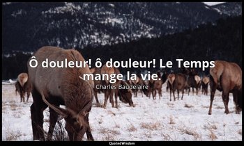 Ô douleur! ô douleur! Le Temps mange la vie. — Charles Baudelaire