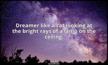 Dreamer like a cat looking at the bright rays of a lamp on the ceiling. — Jules Renard