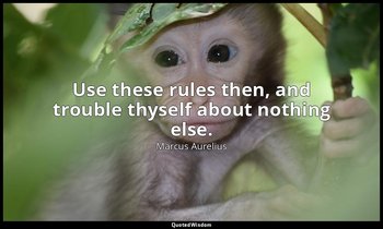 Use these rules then, and trouble thyself about nothing else. — Marcus Aurelius