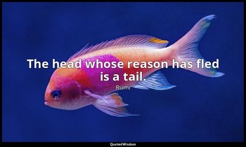 The head whose reason has fled is a tail. — Rumi