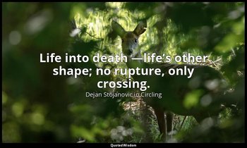 Life into death —life’s other shape; no rupture, only crossing. — Dejan Stojanovic in Circling