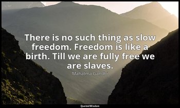 There is no such thing as slow freedom. Freedom is like a birth. Till we are ful — Mahatma Gandhi
