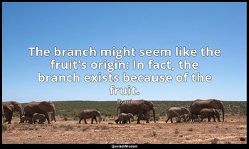 The branch might seem like the fruit's origin: In fact, the branch exists becaus — Rumi