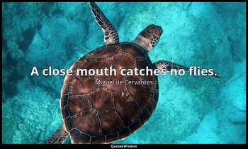 A close mouth catches no flies. — Miguel de Cervantes