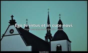 Ego te intus et in cute novi. — I know you even under the skin. Persius
