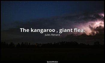 The kangaroo , giant flea. — Jules Renard